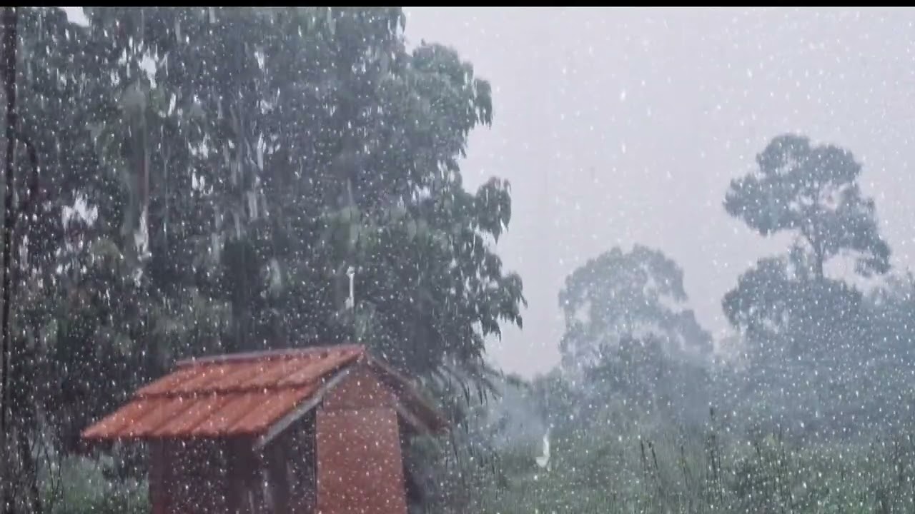 Fall Asleep in Seconds: Heavy Rain on a Tin Roof at jungle for Deep Sleep and Insomnia Relief 1 hour