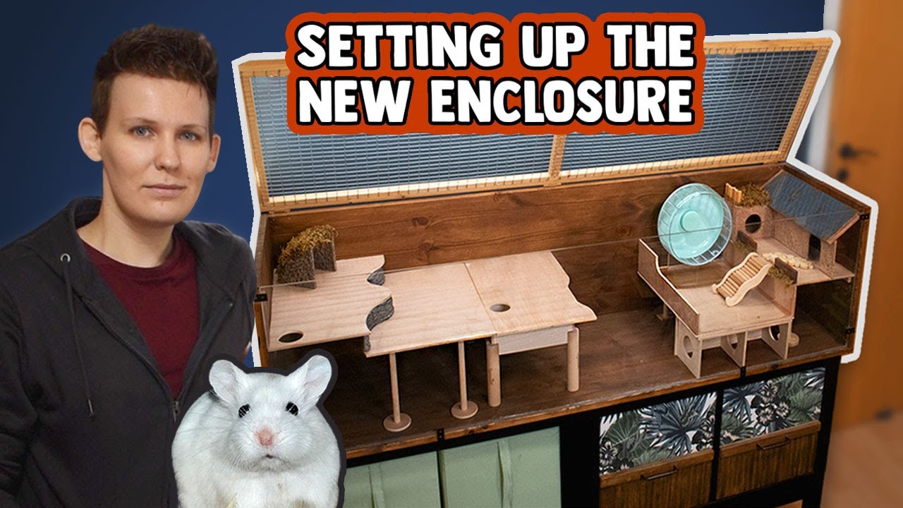 Designing A Home For My New Hamster | The Little Cage Project Ep.3