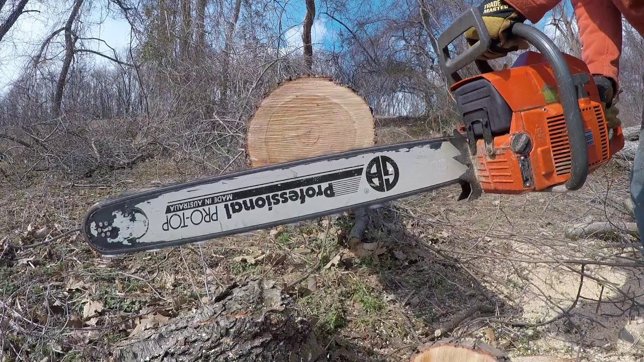 Husqvarna 268xp vs  365 X-torq