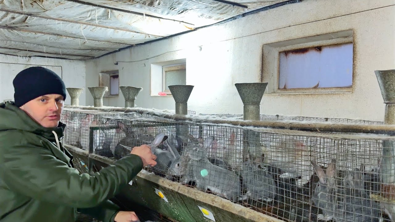 Забудьте за ГІБРИДИЗАЦІЮ. Не ростуть🙅‍♂️
