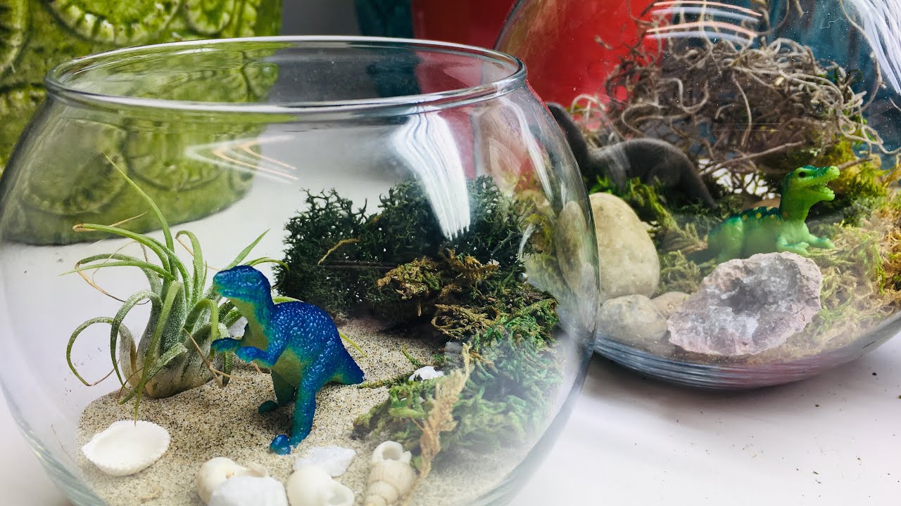 DIY Dinosaur Terrarium