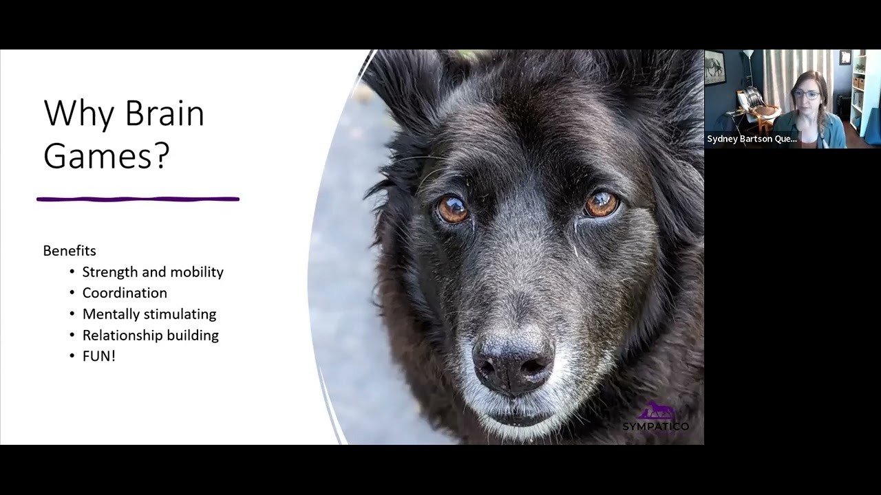 Old Dog, New Tricks! Brain Games through Enrichment and Training