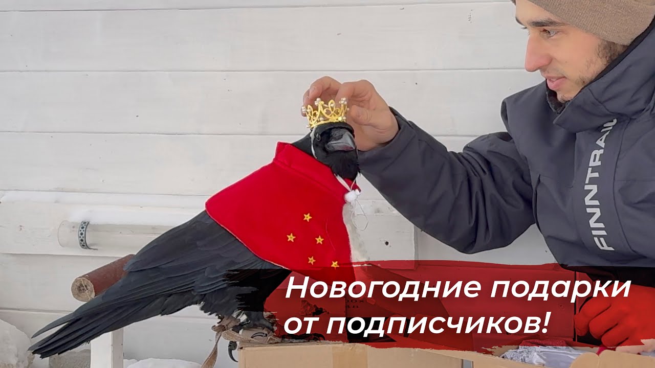 Гоша распаковывает подарки подписчиков