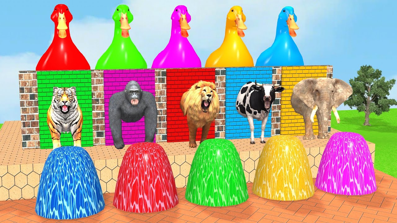 Long Slide Game With Cow Elephant Gorilla Hippopotamus Tiger 3d Animal Game Funny 3d Animals