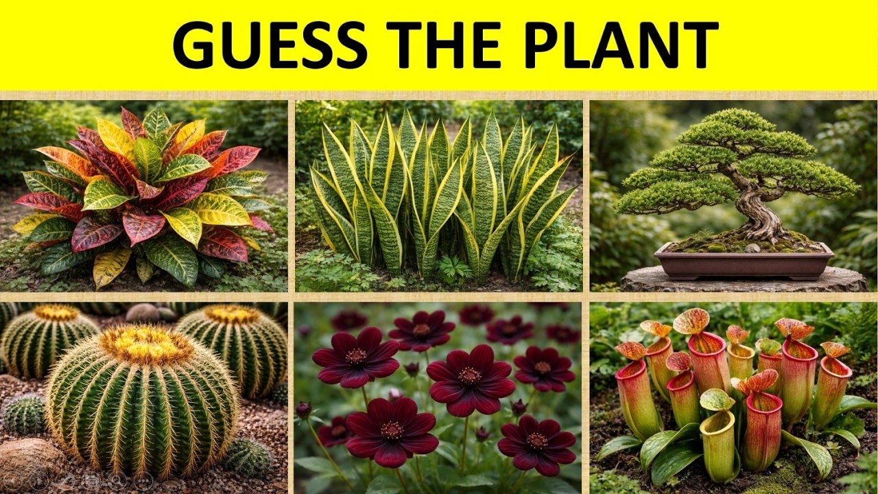 Guess the Plant 🌱 | Can You Identify These Plants? | Fun Plant Quiz Challenge!
