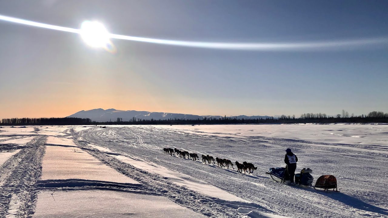 Iditarod 2021 - Mile 11