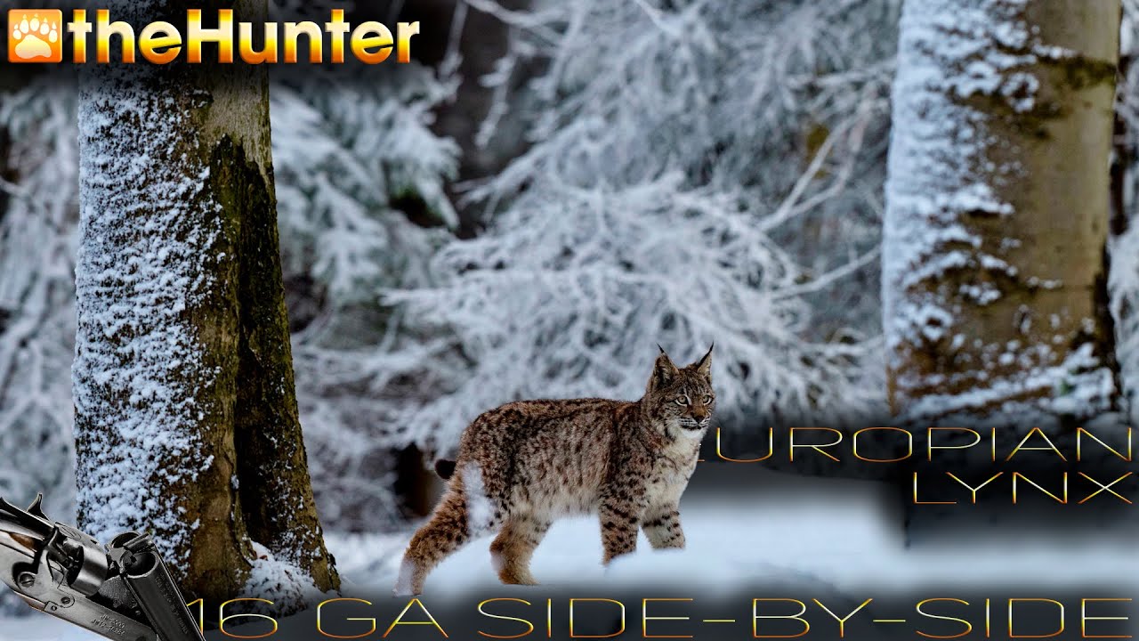 ♢ theHunter Classic ♢ ОБЫКНОВЕННАЯ РЫСЬ ♢ 16 