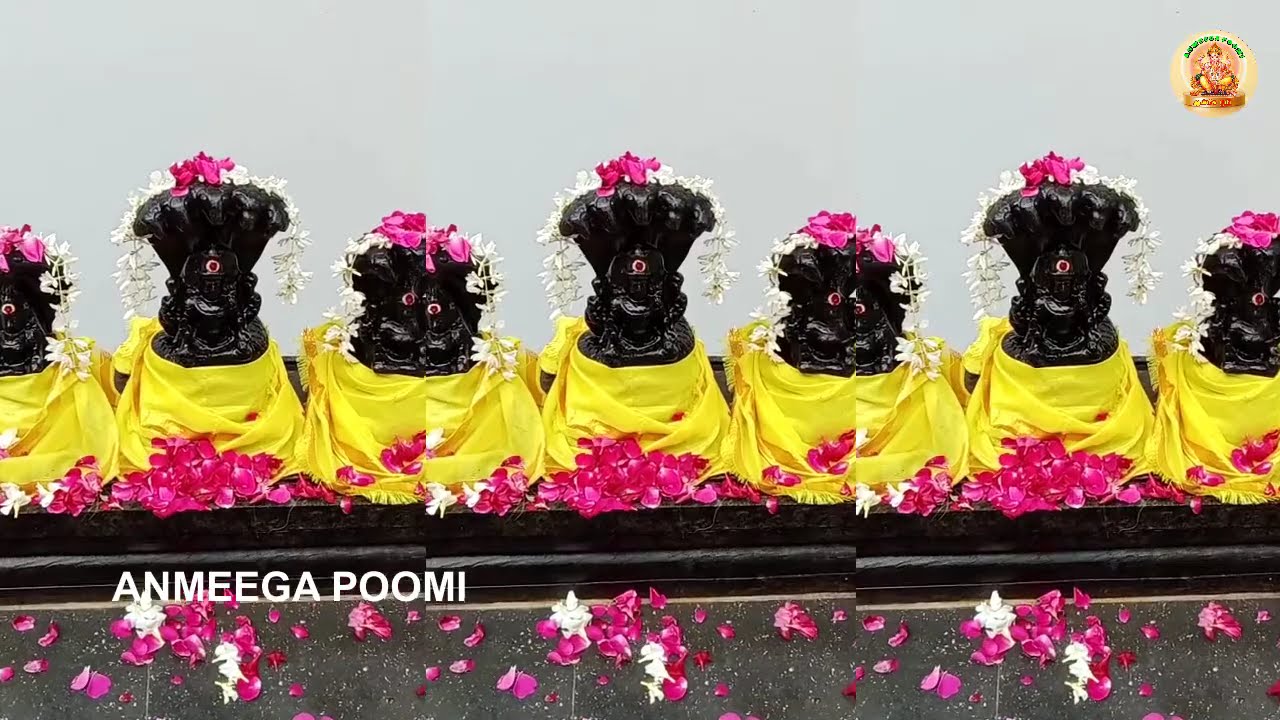 அருள்மிகு ஸ்ரீ இசக்கி அம்மன் திருக்கோயில் காட்டுவிளை திருவிழா - 2024 | AMMAN TEMPLE FESTIVAL - 2024