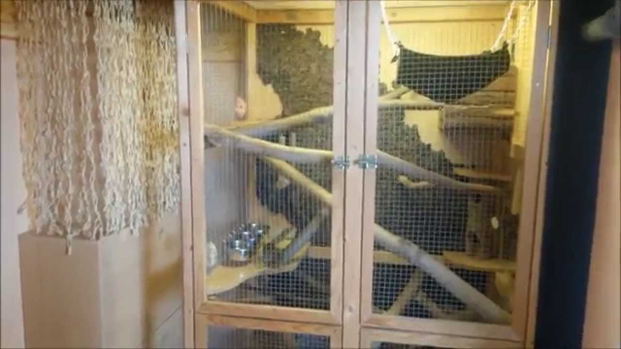 Hammy's Home - so wohnt mein Streifenhörnchen !
