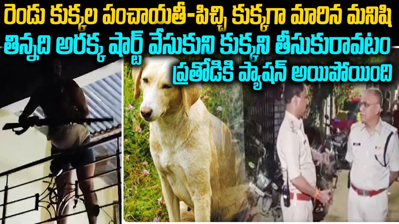 పిచ్చికుక్కగా మారిన మనిషి... కరవలేక ఏంచేసాడో తెలుసా | Two Dogs  khajrana Story | Mr Venkat Waves