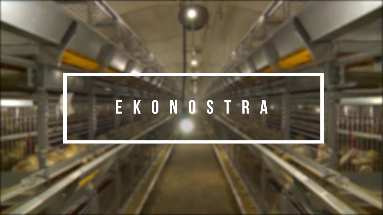 EKONOSTRA - Ferma 