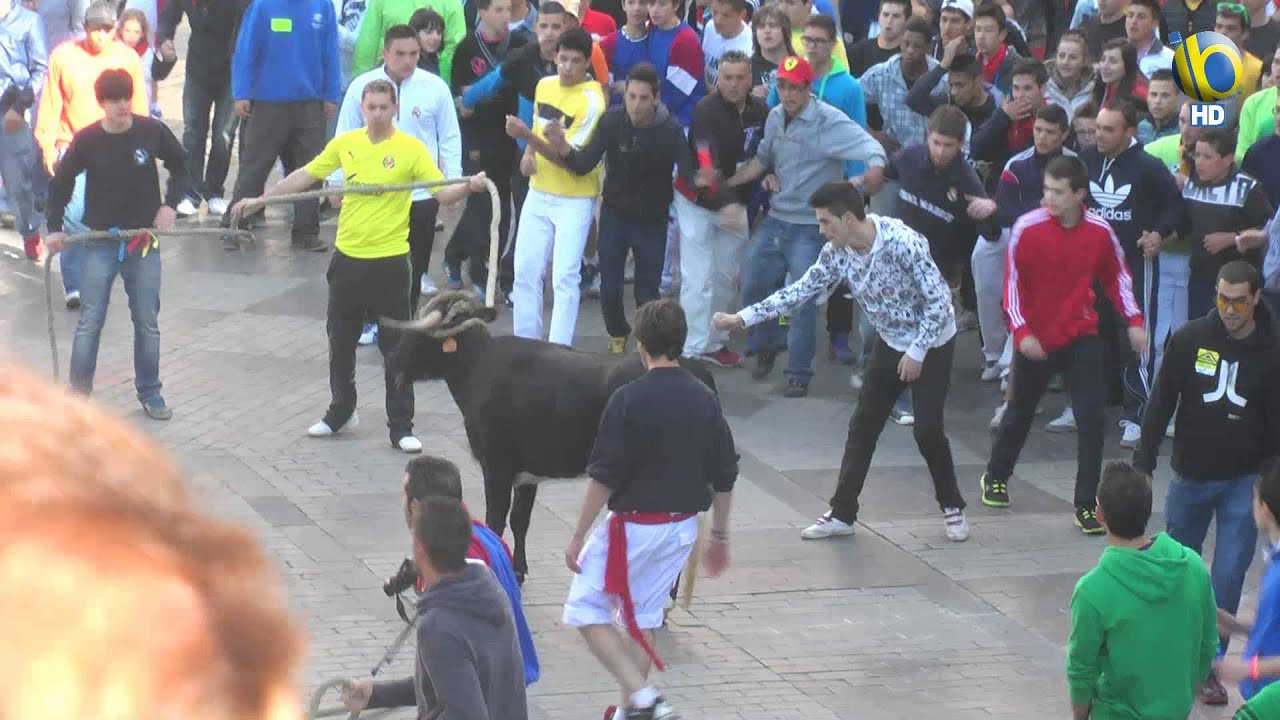 Torito del Alba en Benavente - 2013 (HD)