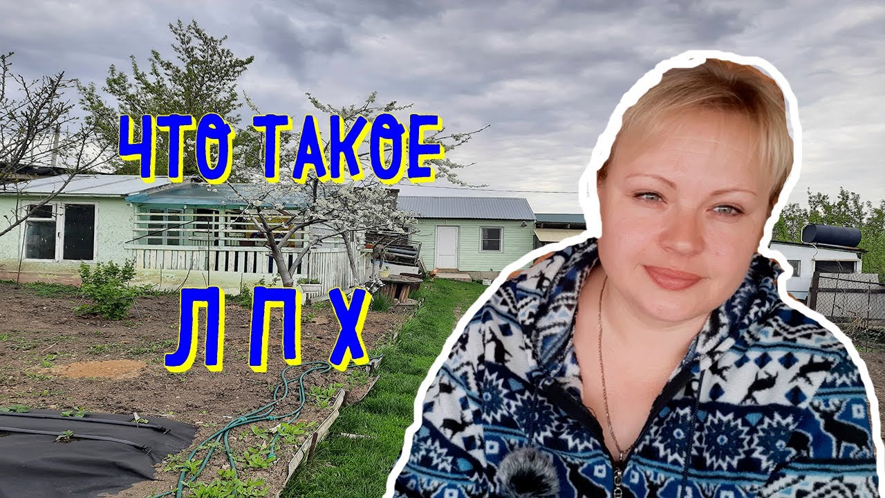 . ЧТО ТАКОЕ ЛПХ. Для чего нужно оформление документов