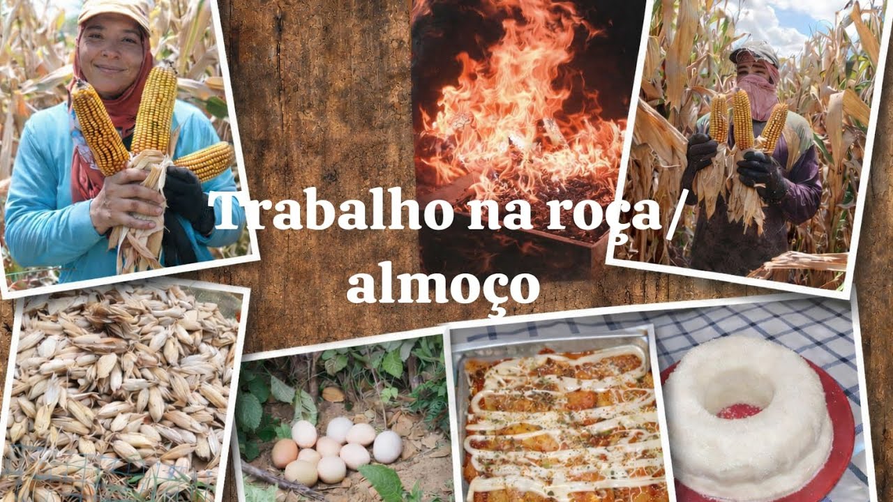 Olha o que aconteceu, não esperava por isso 😱 Mais um dia de trabalho na roça e almoço😋