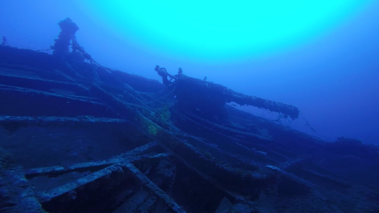 Le Polynesien