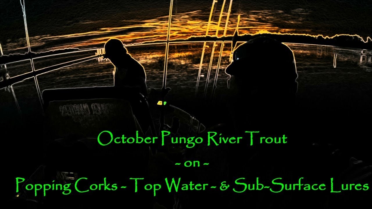 October Pungo River Trout w/ guest Austin Hall of Red Line Rigs