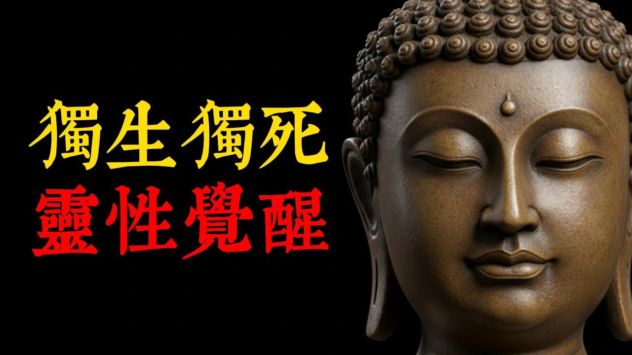 那些獨來獨往的人，背負著怎樣的驚人因果？深度解析孤獨的三個層次：如何將孤單轉化為清洗業力、改變命運的福報？#孤獨 #業力 #佛法智慧 #華蓋星 #因果