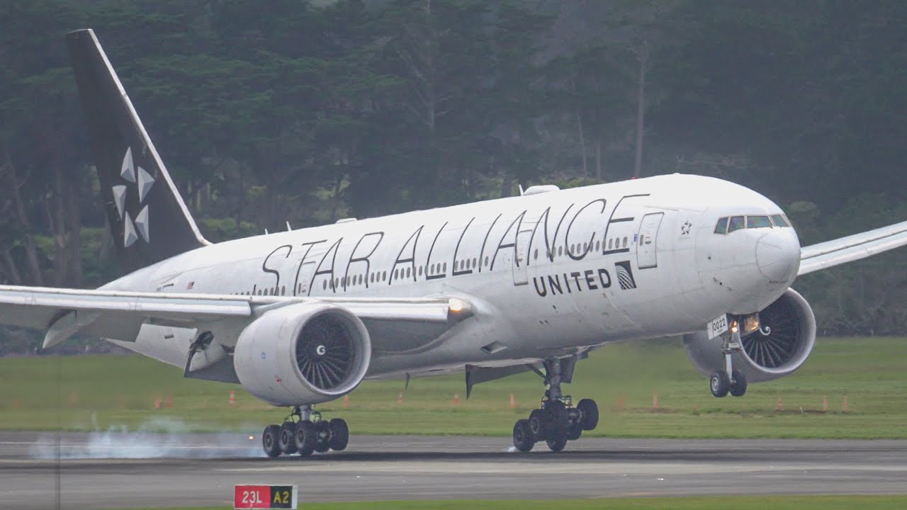 Awesome Plane Spotting | B787 B777 B737 | Auckland Airport New Zealand [AKL/NZAA]