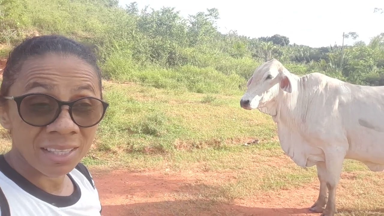 Fui colocar um sal para o gado e veja só.