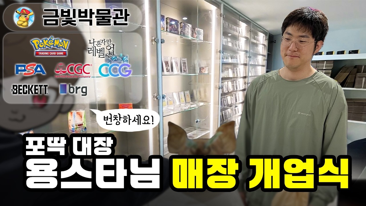 [서울 카드샵] 금빛박물관 - 용스타님의 그레이딩 등급 대행, 일판 포켓몬카드 박스, 어마무시한 컬렉션까지!