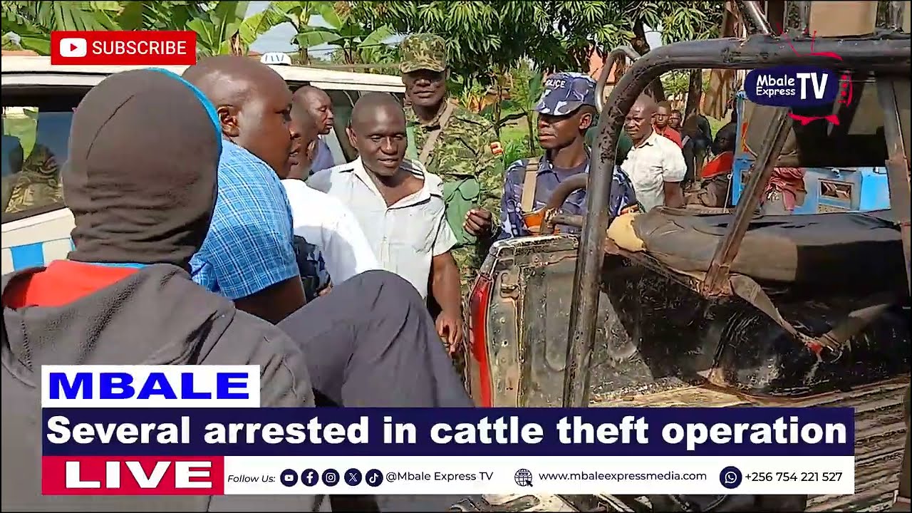 Several arrested in cattle theft operation
