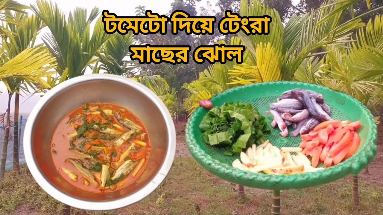 টমেটো দিয়ে টেংরা মাছের ঝোল | tometo diye tengra macer jhol | @jerin1234-5 #cooking 