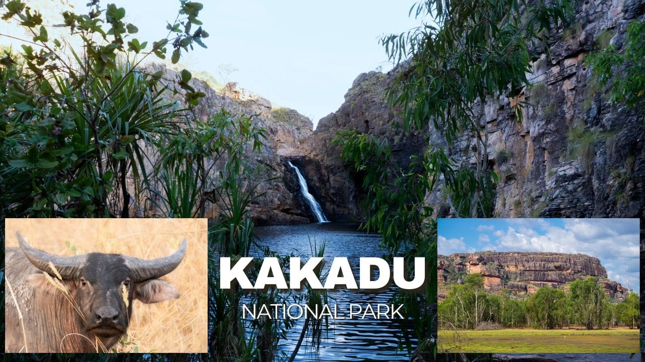 Kakadu National Park / Northern Territory / Travel Australia / Explore the NT