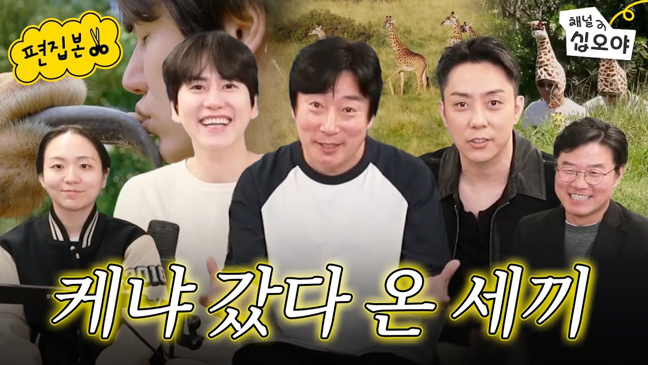 *기린과의 거친 키스 포함* 케냐 생생 후기 몰아보기 | 🎥라이브 짧게보기