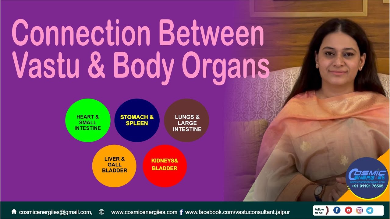 Connection Between Vastu & Body Organs | Vastu For Directions and Body parts #vastutips #vastu