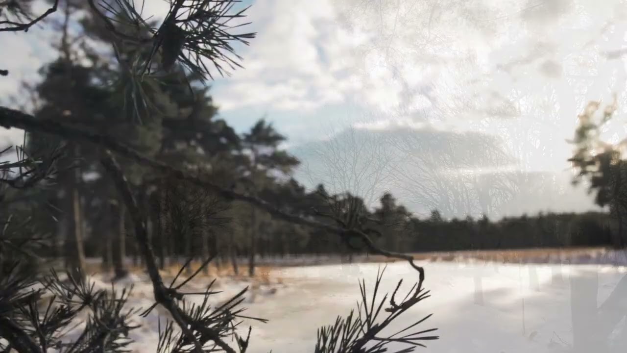 Спи, моя зима ...