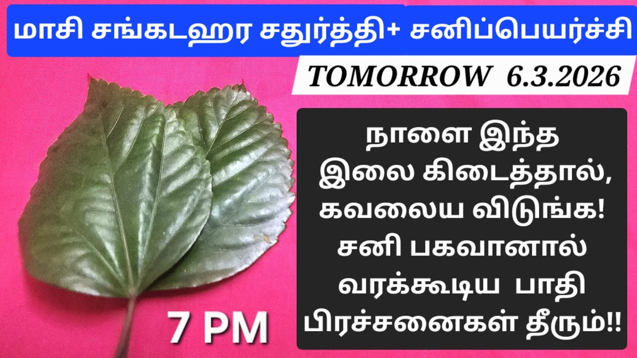 6.3.2026:இந்த இலையை,நாளைய தினம் இப்படி பயன்படுத்துங்க!!உங்க குடும்ப கஷ்டங்கள் எல்லாம் தூள்தூளாகும்!