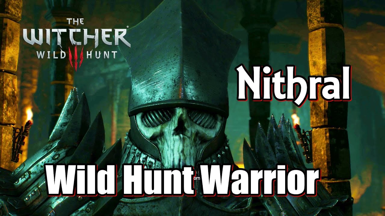 The Witcher 3 Wild Hunt Fight the Wild Hunt warrior ( Nithral )