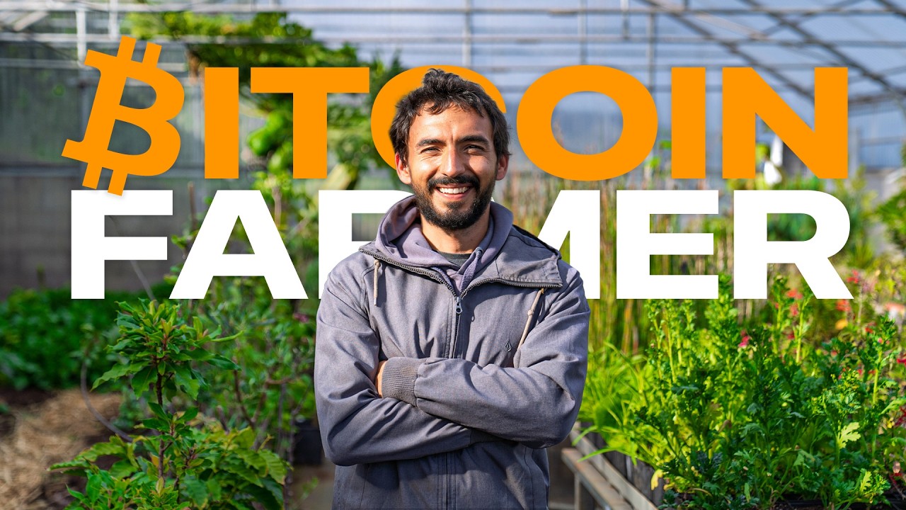 Биткоин-фермер