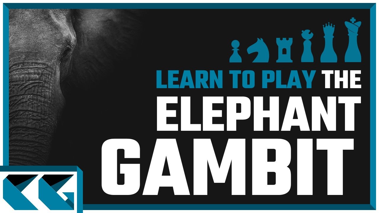 Chess Openings: Learn to Play the Elephant Gambit!