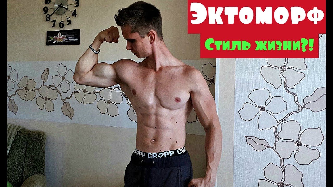 Кто такой Эктоморф?!