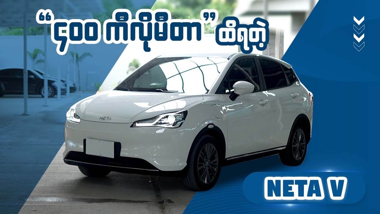 NETA V | Short review