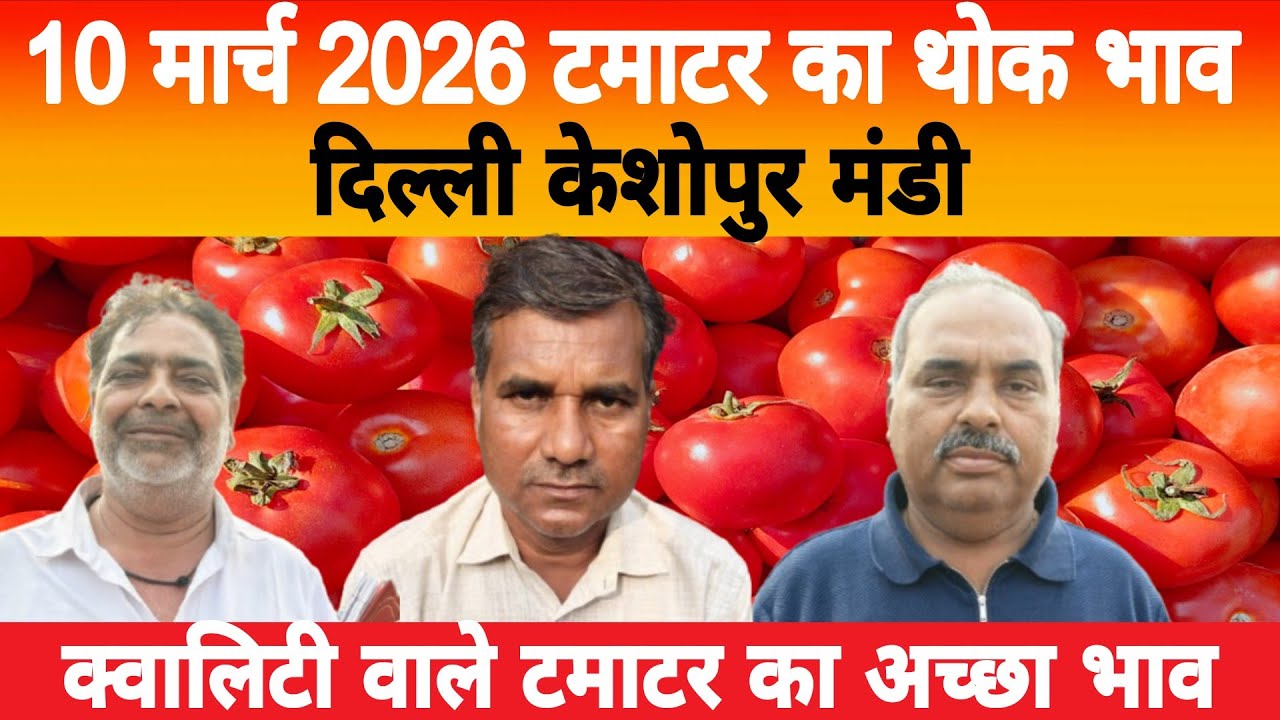 10 March 2026 Delhi 🍅 टमाटर होलसेल भाव | Keshopur Mandi | Today Tomato Rate #tamatar #tamatarmandi