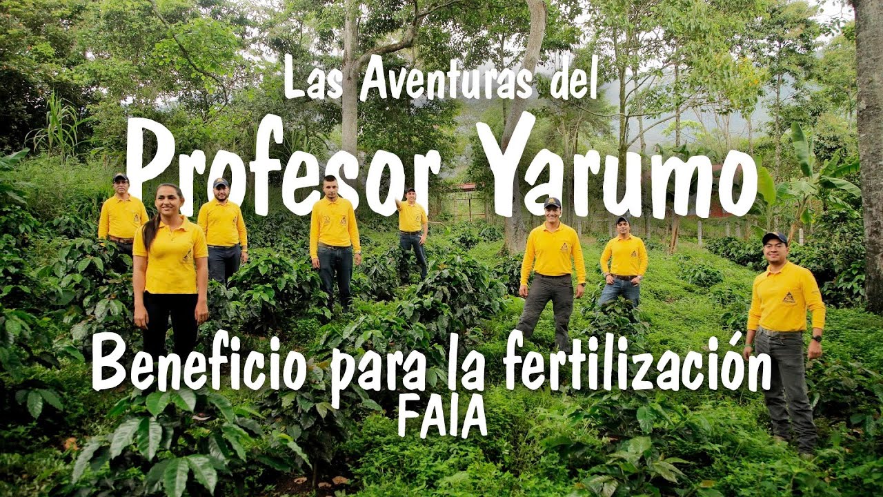 Beneficio para la fertilización de cafetales - FAIA. Las Aventuras del Profesor Yarumo