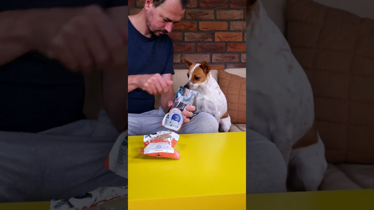 Pampin rýchlotest pamlsiek
