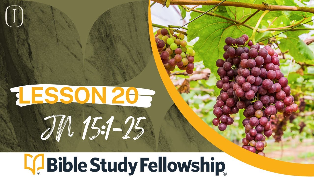 BSF - John - Lesson 20  - Jn 15:1-25