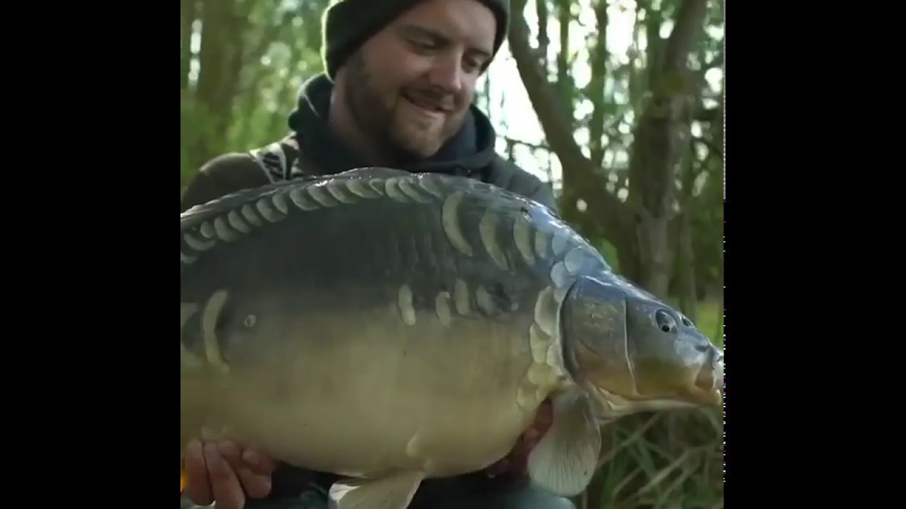 Montage carpe avec sac soluble