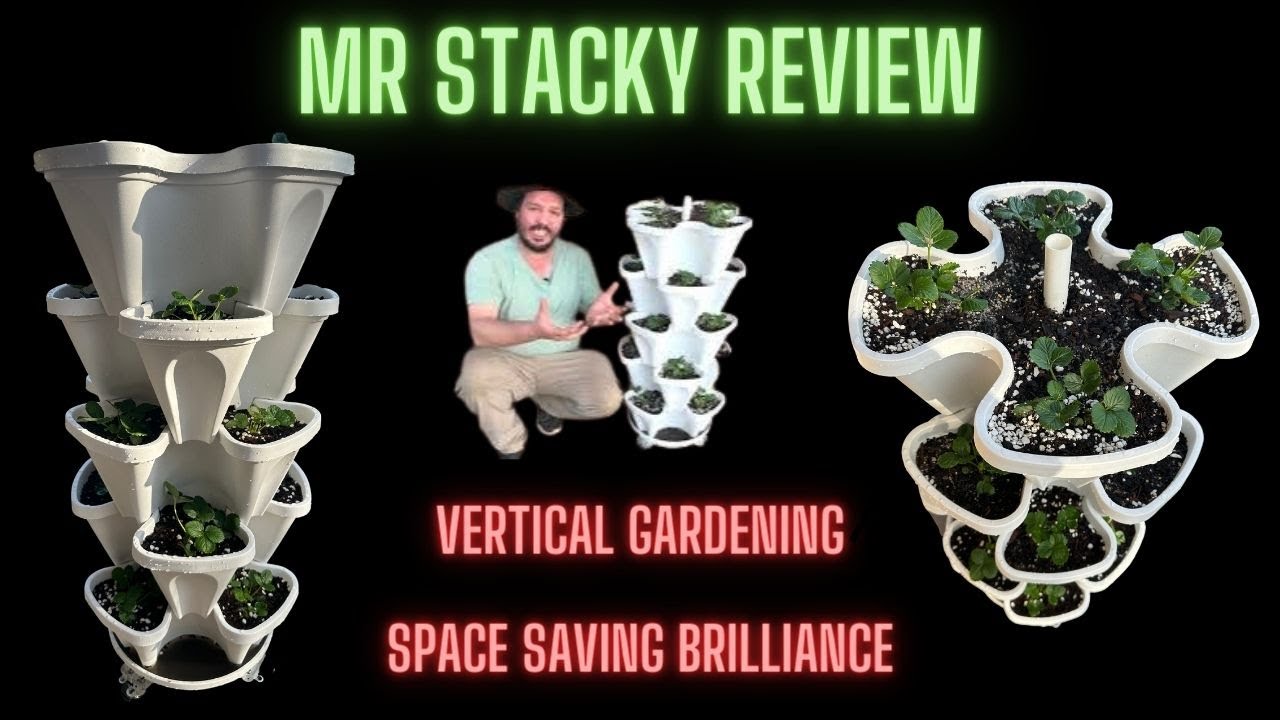 Mr Stacky Review