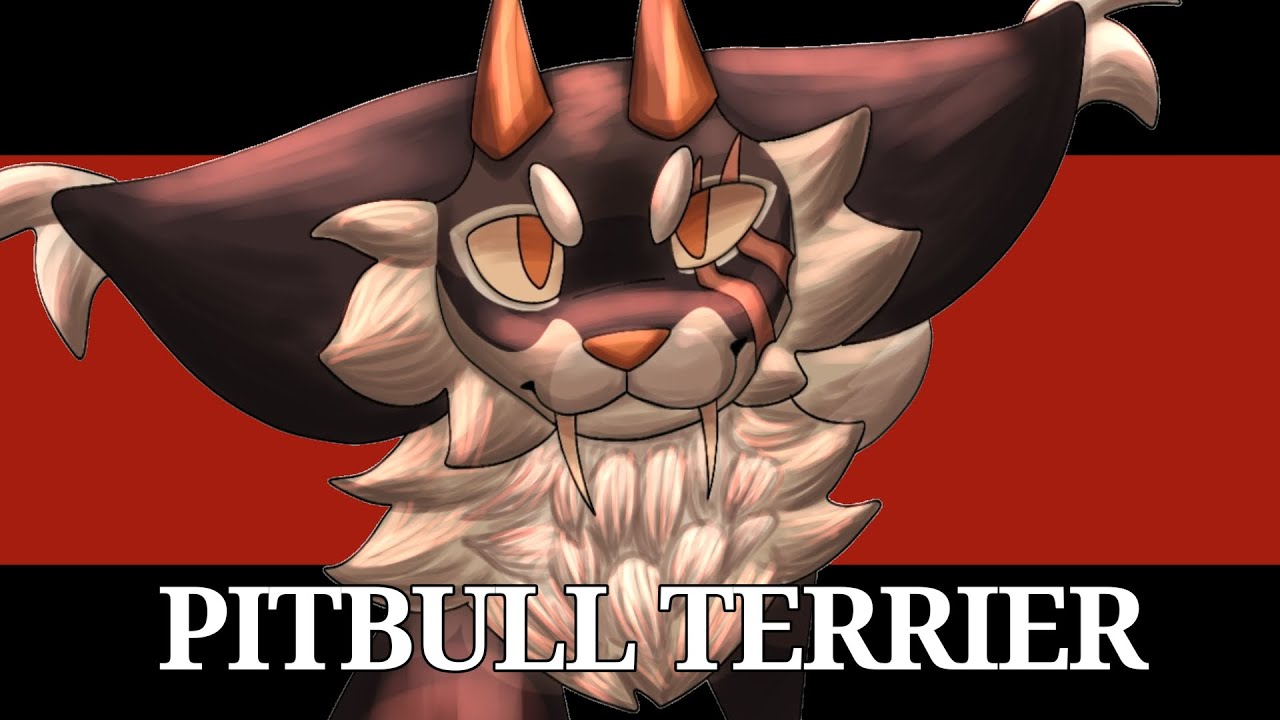 PITBULL TERRIER [animation meme☆]