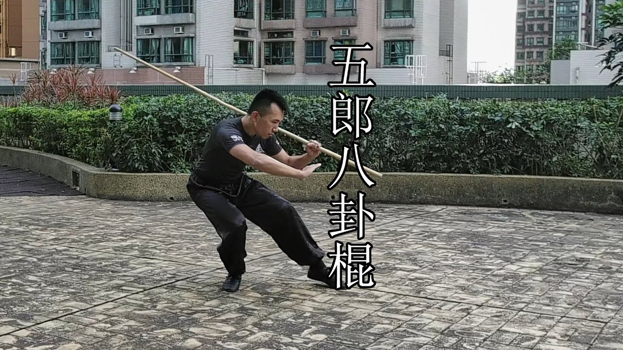 五郎八卦棍 - 嶺南洪拳虎鶴派 | 4k60 | Hung Gar Kung Fu - Ng Long Eight Diagram Staff