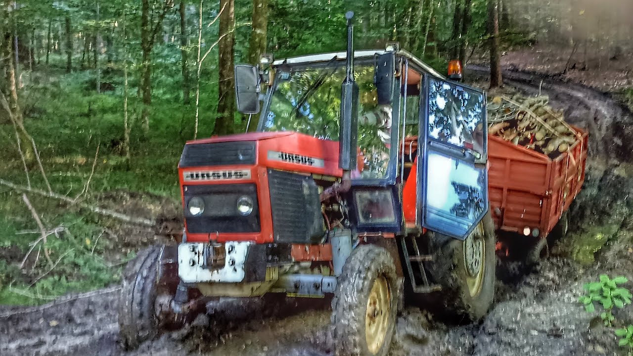 Wyprawa w las🌳🌲Ursus 912 w akcji💪Polska Moc🔥🇵🇱Wtopa2023🚜💨