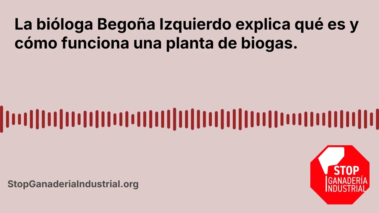 La bióloga Begoña Izquierdo explica qué es y cómo funciona una planta de biogas.