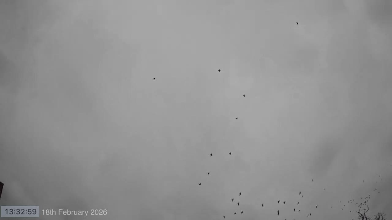 Daytime Sky Time Lapse 18th February 2026