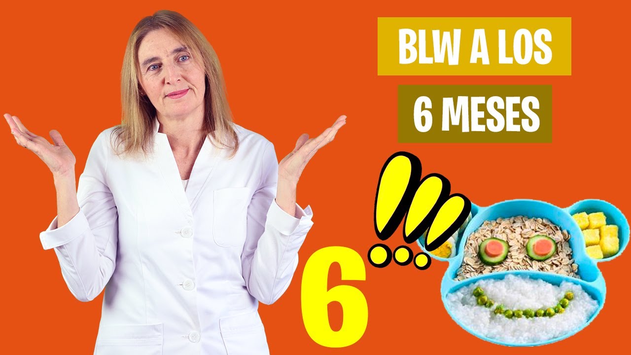 Qué ALIMENTOS INTRODUCIR con 6 MESES | Primeros alimentos con BLW | Nutrición infantil