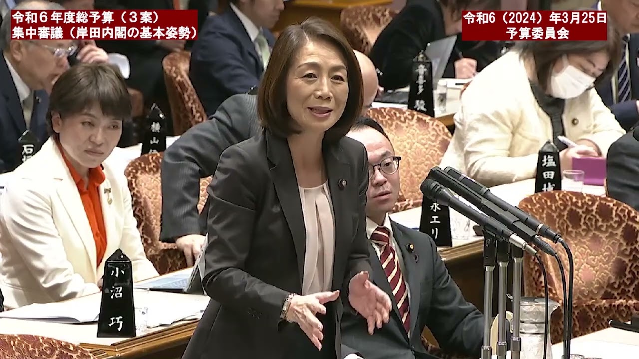 令和６年（２０２４）年３月２５日　参議院予算委員会【２１３回国会（常会）】
