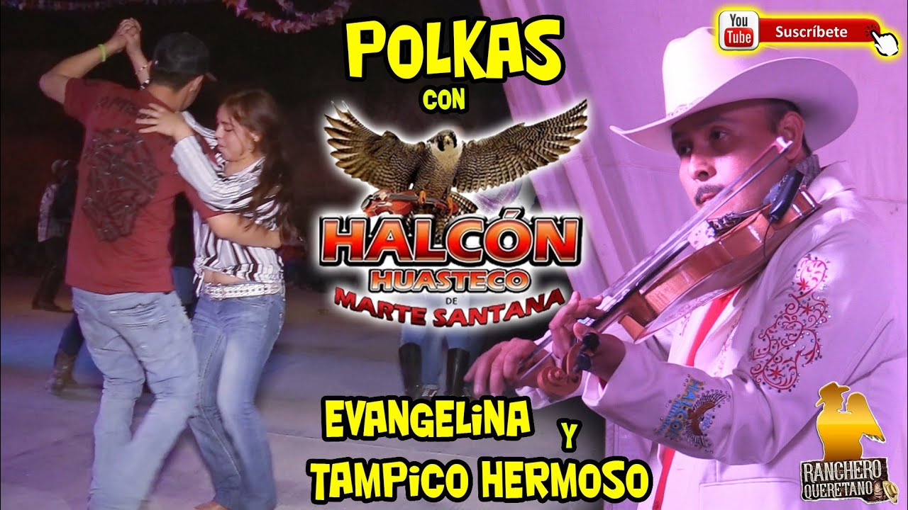 Polkas con Halcon Huasteco de Marte Santana